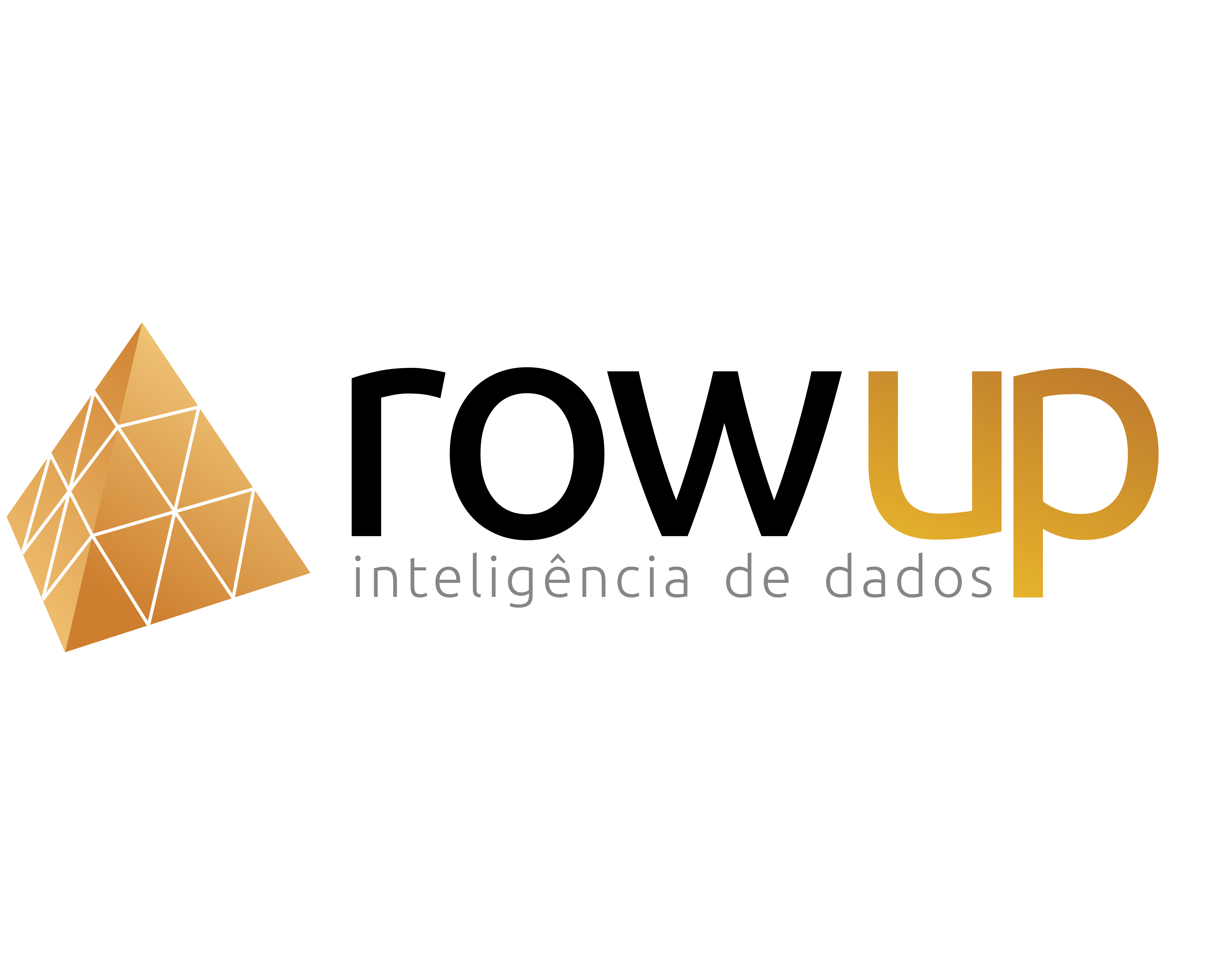 Row Up Inteligência de Dados